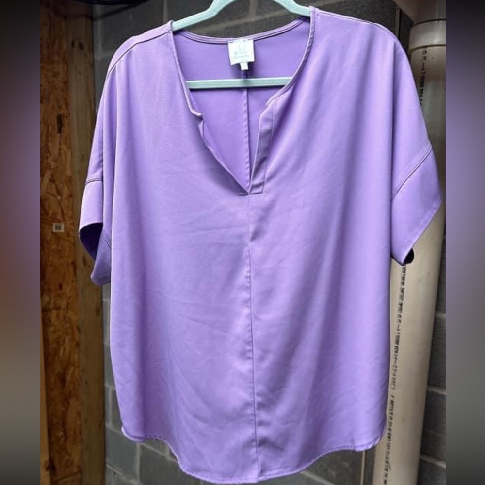 Mint Julip v neck blouse